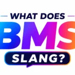 What Does BMS Slang Mean?