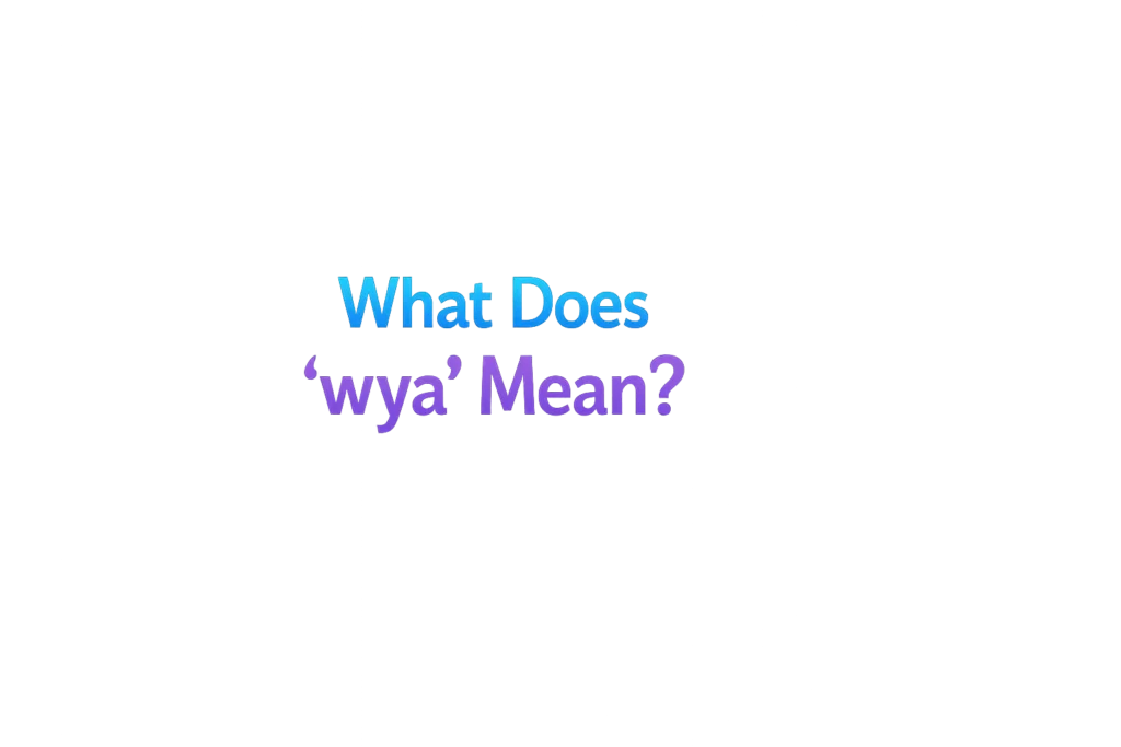 What Means WYA?