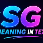 SG Meaning