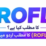 ROFL Meaning in Urdu